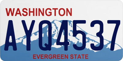WA license plate AYQ4537