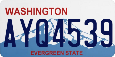 WA license plate AYQ4539
