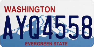 WA license plate AYQ4558