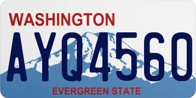WA license plate AYQ4560