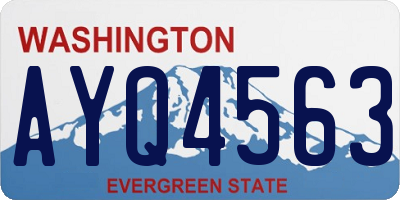 WA license plate AYQ4563