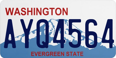 WA license plate AYQ4564