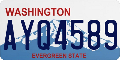 WA license plate AYQ4589