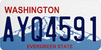 WA license plate AYQ4591