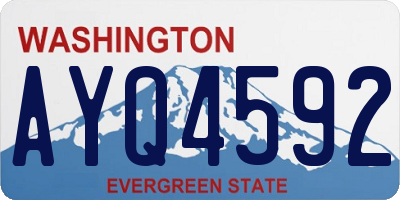 WA license plate AYQ4592