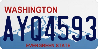 WA license plate AYQ4593