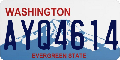 WA license plate AYQ4614
