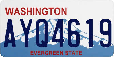 WA license plate AYQ4619