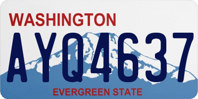 WA license plate AYQ4637