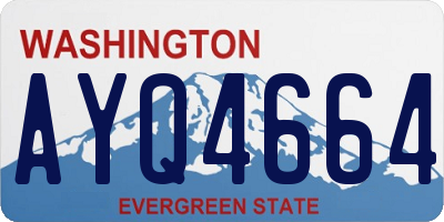 WA license plate AYQ4664