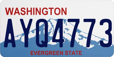 WA license plate AYQ4773