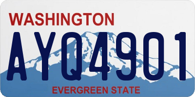 WA license plate AYQ4901