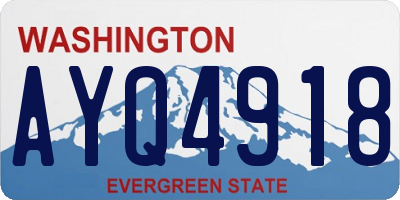 WA license plate AYQ4918