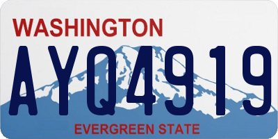 WA license plate AYQ4919