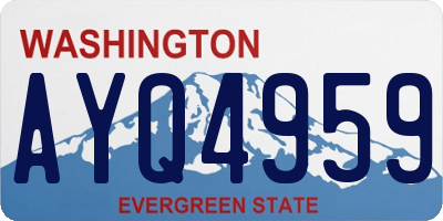 WA license plate AYQ4959