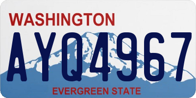 WA license plate AYQ4967