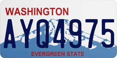 WA license plate AYQ4975