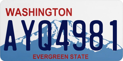 WA license plate AYQ4981