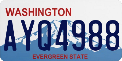 WA license plate AYQ4988