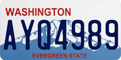 WA license plate AYQ4989