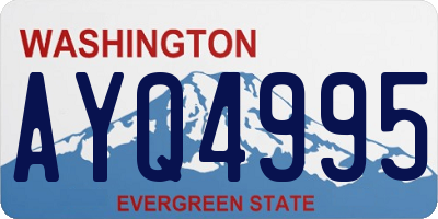 WA license plate AYQ4995