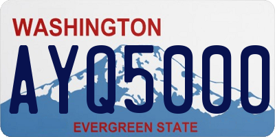 WA license plate AYQ5000