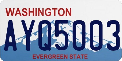 WA license plate AYQ5003
