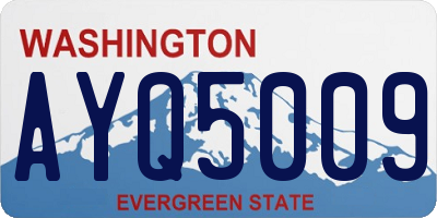 WA license plate AYQ5009