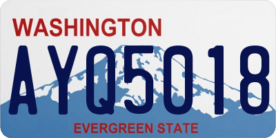 WA license plate AYQ5018