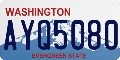WA license plate AYQ5080