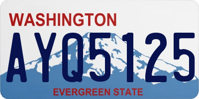 WA license plate AYQ5125