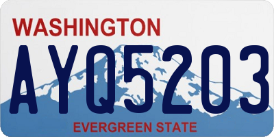 WA license plate AYQ5203