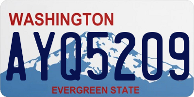 WA license plate AYQ5209