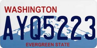WA license plate AYQ5223
