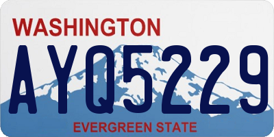 WA license plate AYQ5229
