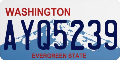 WA license plate AYQ5239