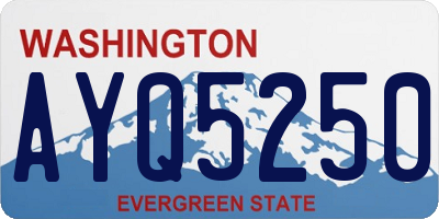 WA license plate AYQ5250