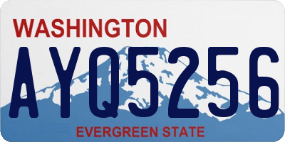 WA license plate AYQ5256