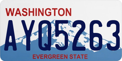 WA license plate AYQ5263