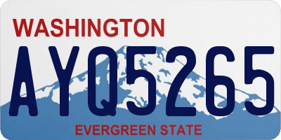 WA license plate AYQ5265