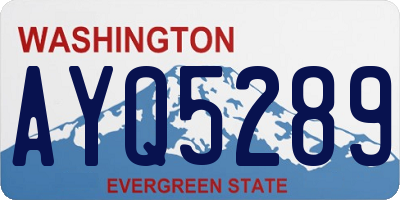 WA license plate AYQ5289