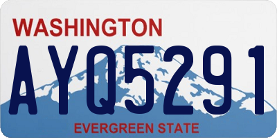 WA license plate AYQ5291
