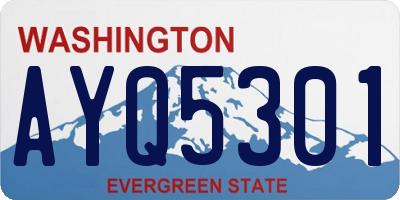 WA license plate AYQ5301
