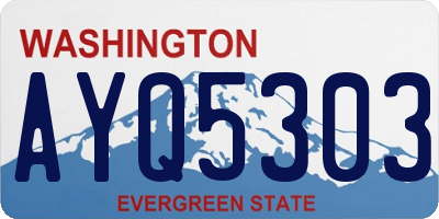 WA license plate AYQ5303