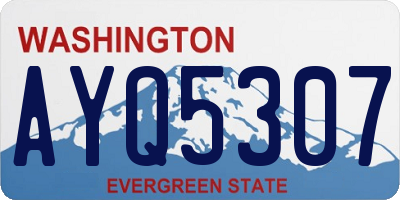 WA license plate AYQ5307