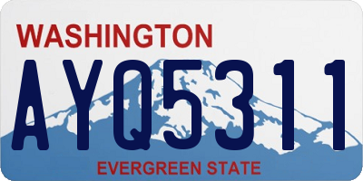 WA license plate AYQ5311