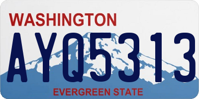 WA license plate AYQ5313