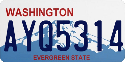 WA license plate AYQ5314