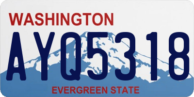 WA license plate AYQ5318