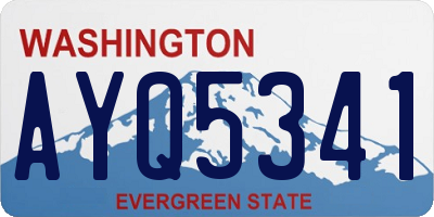WA license plate AYQ5341